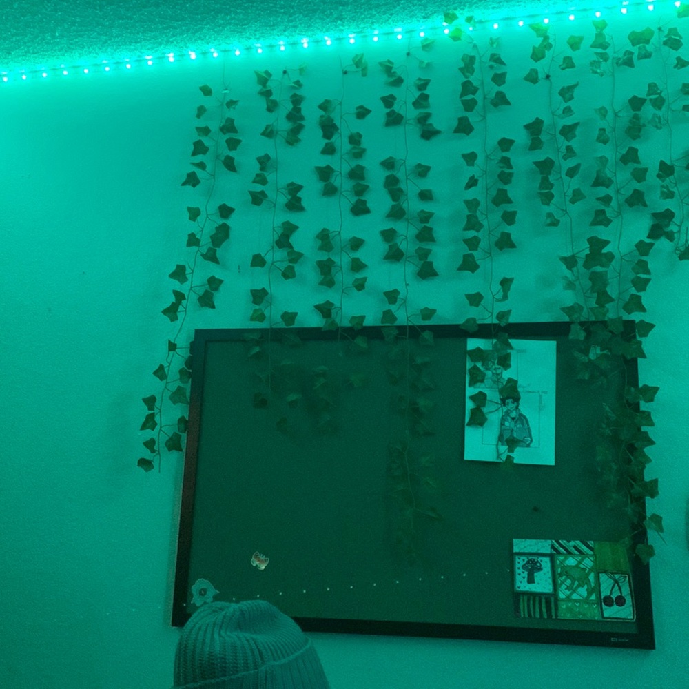 Meet your Posher, Steve